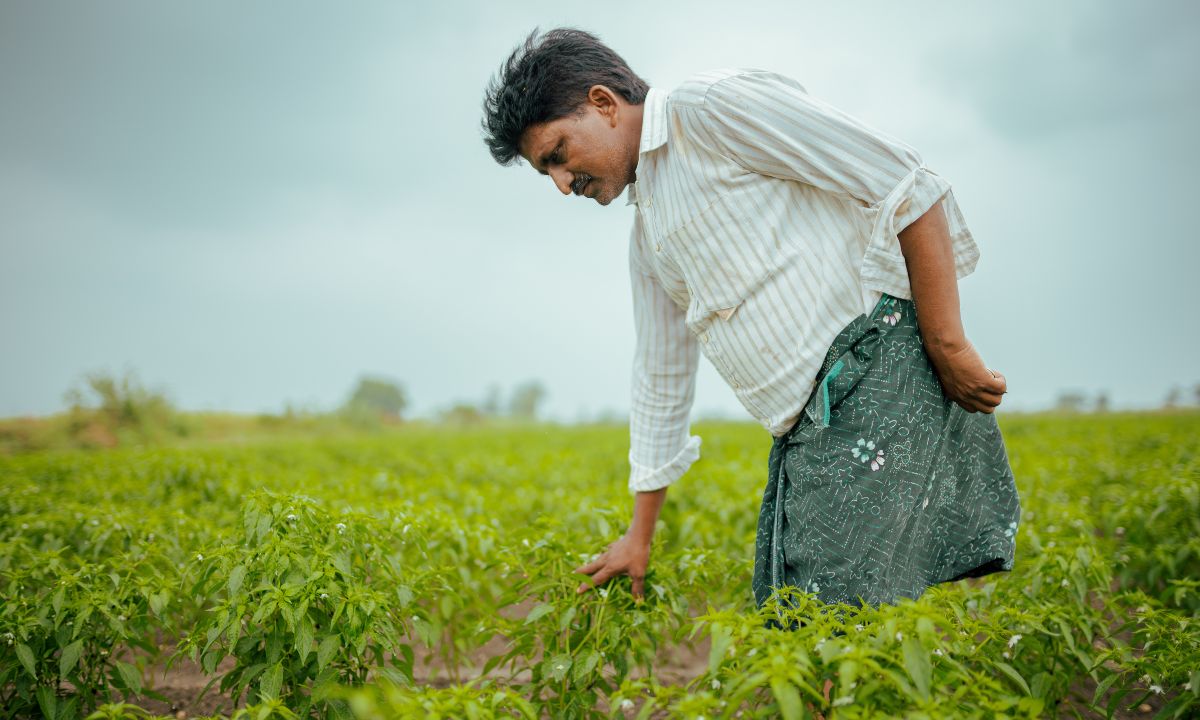 Farmers using digital tools